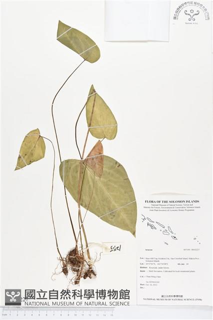 登錄號:BS02227藏品圖，第1張