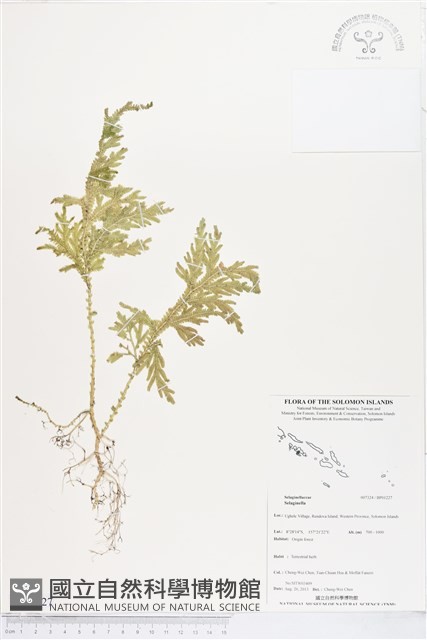 登錄號:BP01227藏品圖，第1張