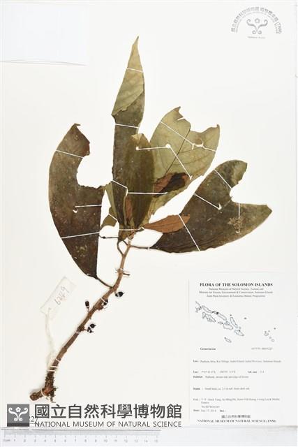 登錄號:BS05227藏品圖，第1張