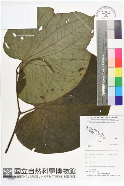 登錄號:BS07227藏品圖，第1張