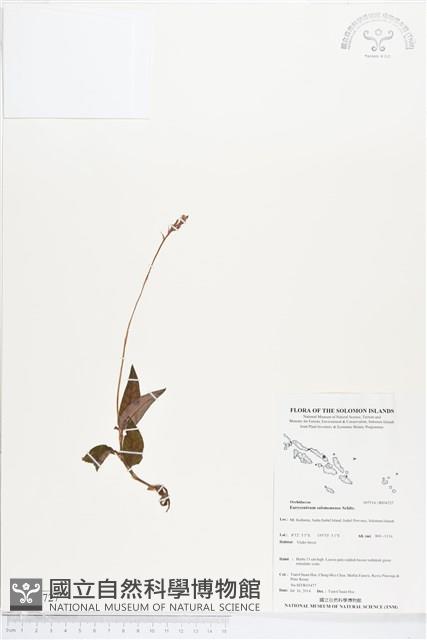 登錄號:BS04727藏品圖，第1張