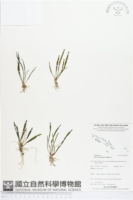 登錄號:BS03527藏品圖，第1張
