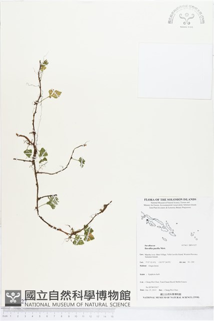 登錄號:BP01927藏品圖，第1張