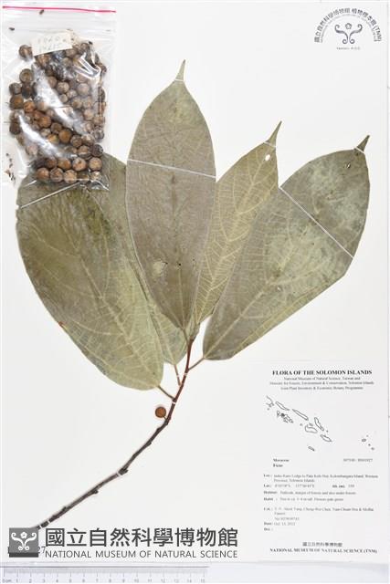 登錄號:BS01927藏品圖，第1張