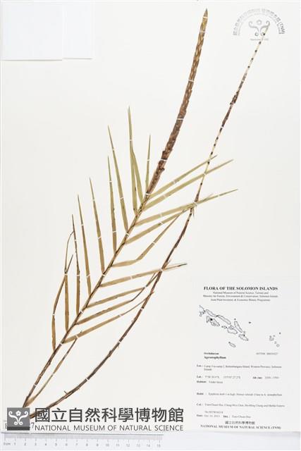 登錄號:BS03927藏品圖，第1張