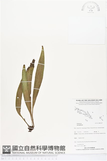 登錄號:BP02327藏品圖，第1張