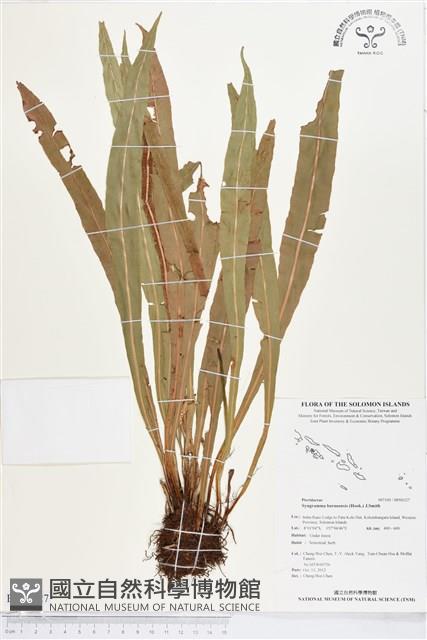 登錄號:BP00327藏品圖，第1張