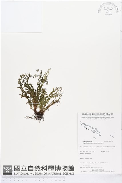 登錄號:BP01327藏品圖，第1張