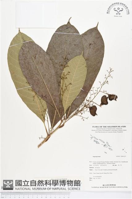 登錄號:BS01327藏品圖，第1張