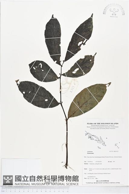 登錄號:BS05327藏品圖，第1張