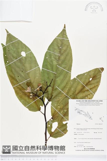 登錄號:BS04327藏品圖，第1張