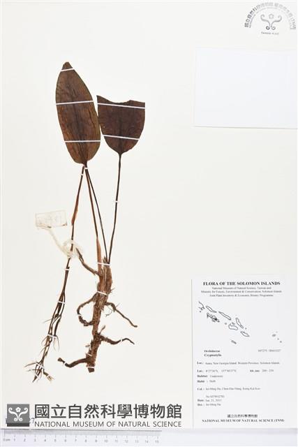 登錄號:BS03327藏品圖，第1張