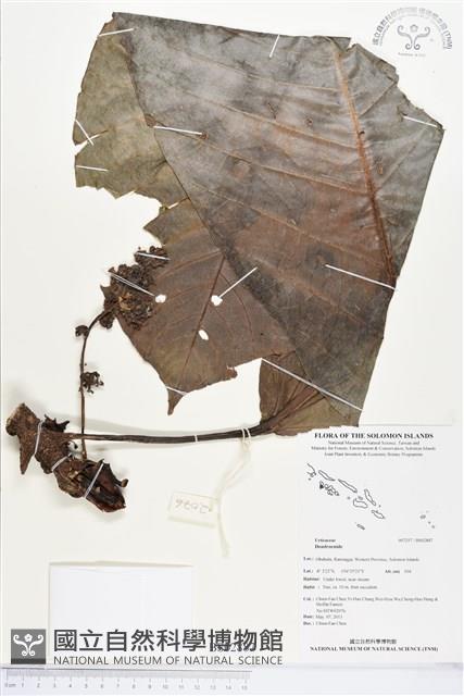 登錄號:BS02887藏品圖，第1張