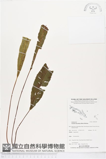 登錄號:BP01887藏品圖，第1張