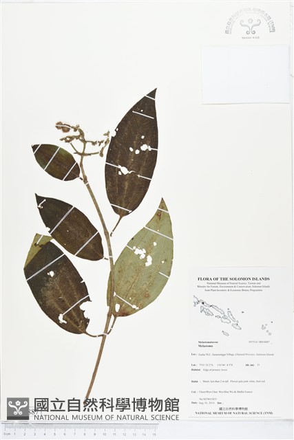 登錄號:BS04887藏品圖，第1張
