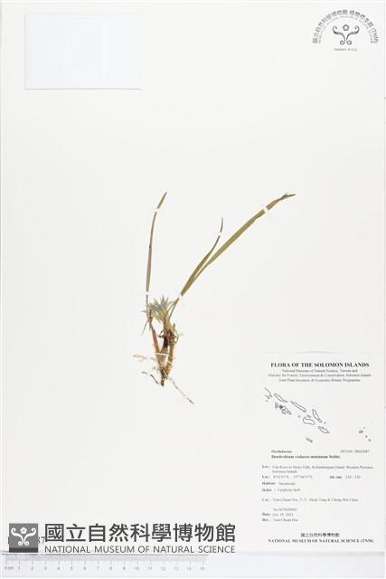 登錄號:BS02087藏品圖，第1張