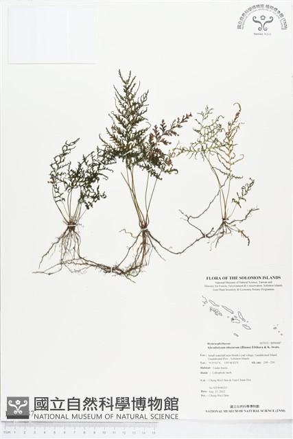 登錄號:BP00087藏品圖，第1張