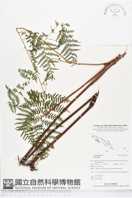 登錄號:BP01087藏品圖，第1張