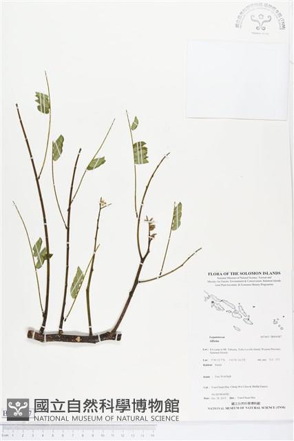 登錄號:BS04087藏品圖，第1張