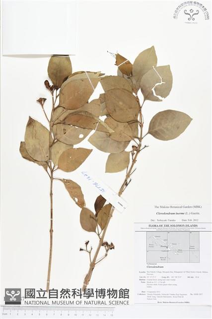 苦林盤藏品圖，第1張