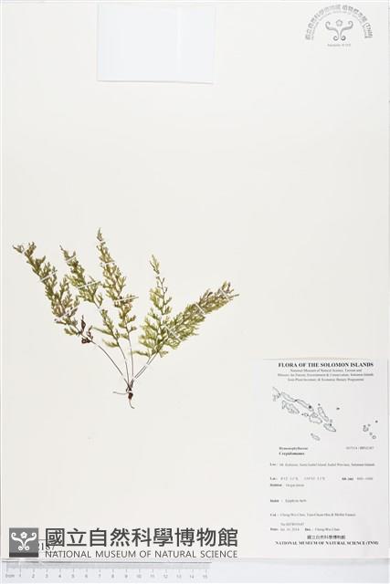 登錄號:BP02187藏品圖，第1張