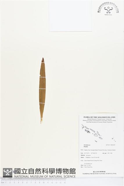 登錄號:BS02187藏品圖，第1張