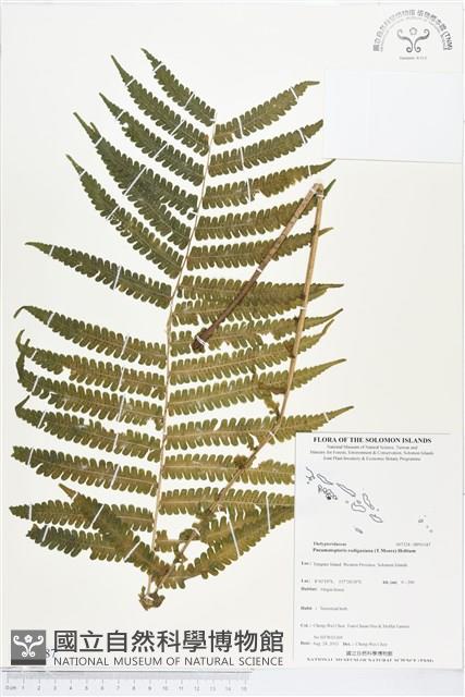 登錄號:BP01187藏品圖，第1張