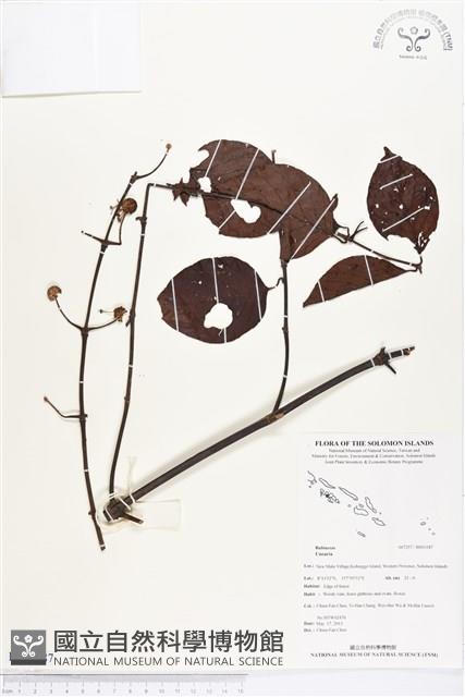 登錄號:BS03187藏品圖，第1張