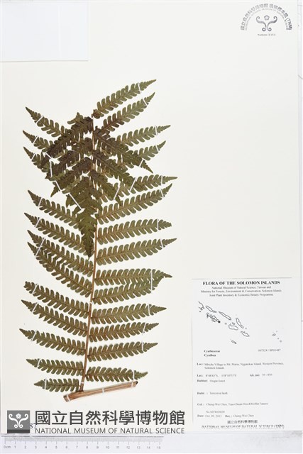 登錄號:BP01487藏品圖，第1張