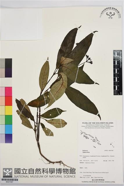 登錄號:BS07487藏品圖，第1張