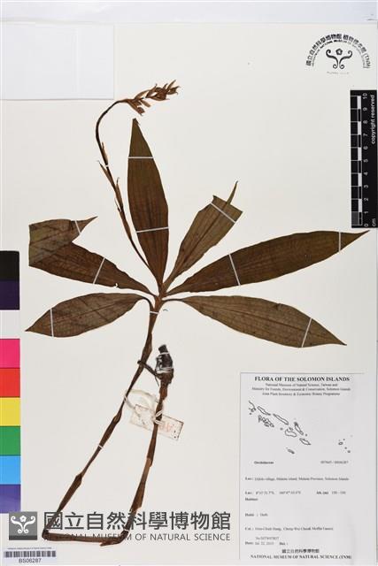登錄號:BS06287藏品圖，第1張