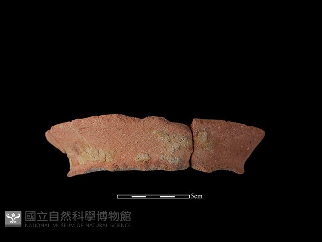 陶罐藏品圖，第1張