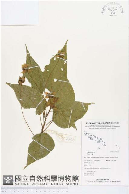 登錄號:BS03287藏品圖，第1張
