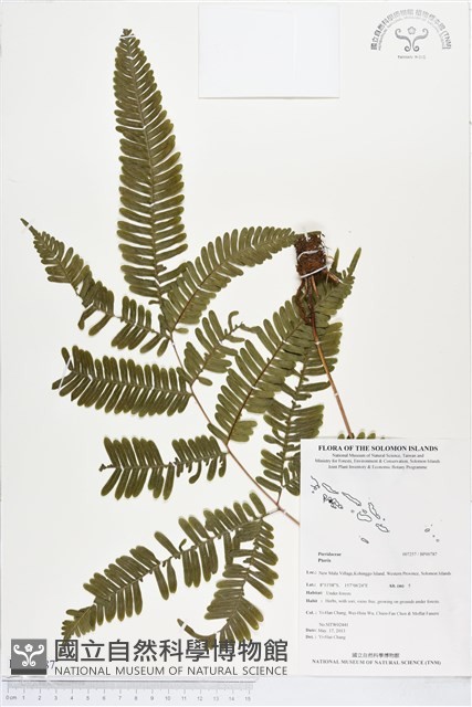登錄號:BP00787藏品圖，第1張