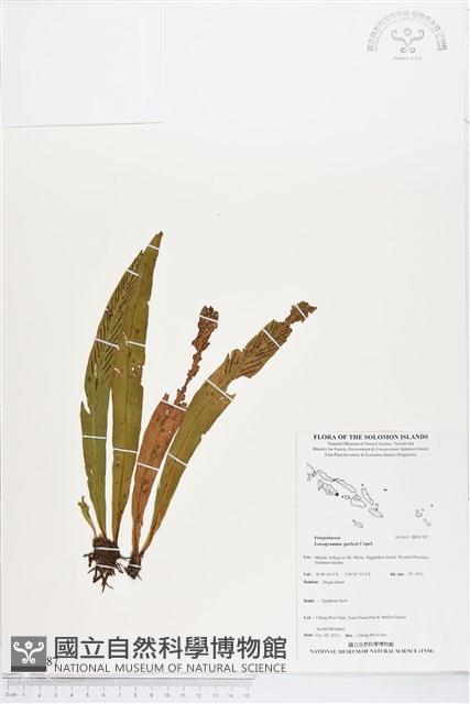 登錄號:BP01787藏品圖，第1張