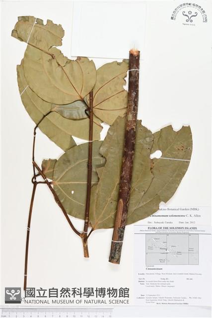 登錄號:BS01787藏品圖，第1張