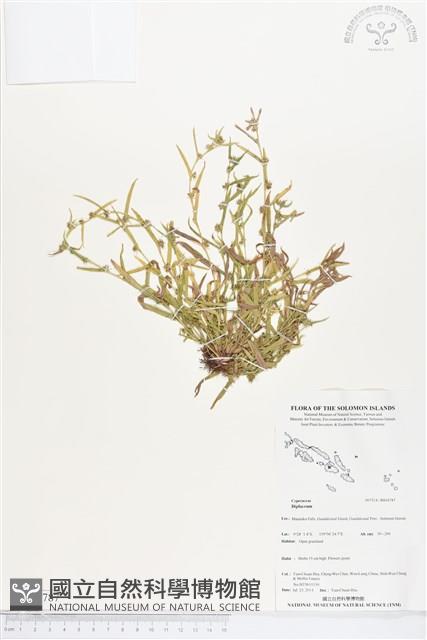 登錄號:BS04787藏品圖，第1張