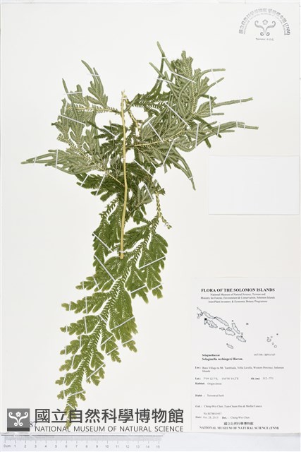 登錄號:BP01587藏品圖，第1張