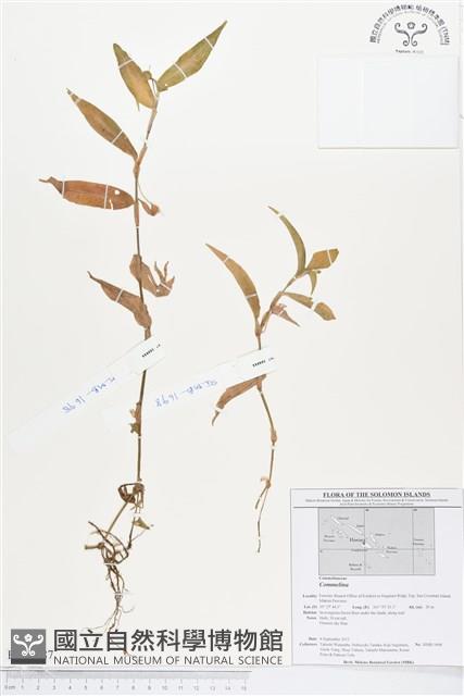 登錄號:BS01587藏品圖，第1張