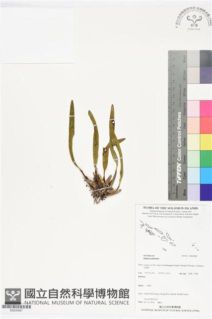 登錄號:BS05987藏品圖，第1張