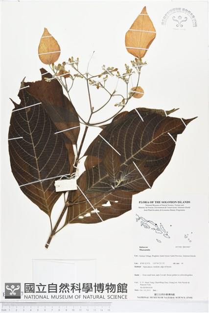 Accession Number:BS03987 Collection Image