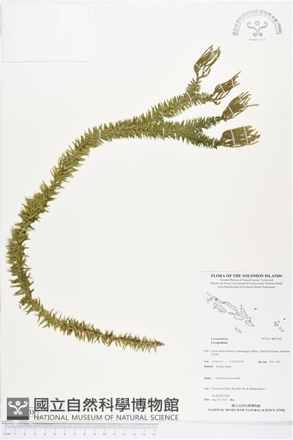 登錄號:BP02387藏品圖，第1張
