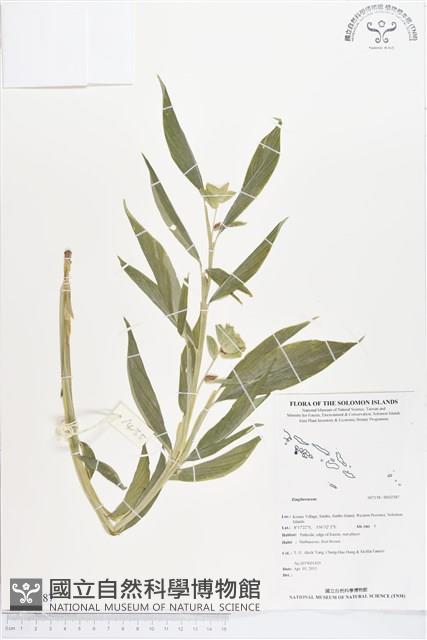 登錄號:BS02387藏品圖，第1張