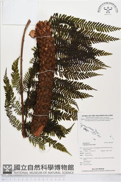 登錄號:BP00387藏品圖，第1張