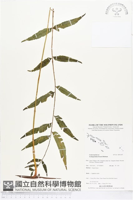 登錄號:BP01387藏品圖，第1張