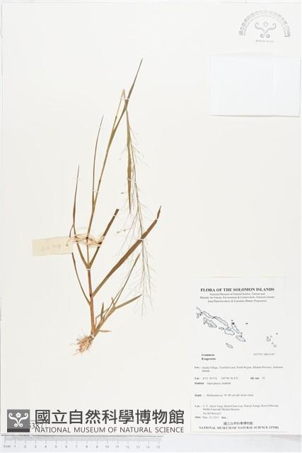 登錄號:BS05387藏品圖，第1張