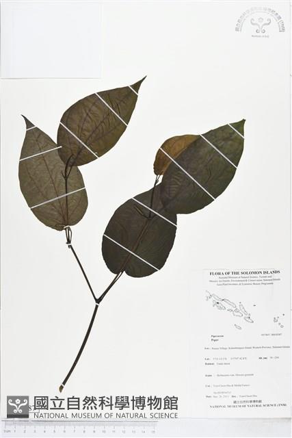 登錄號:BS04387藏品圖，第1張