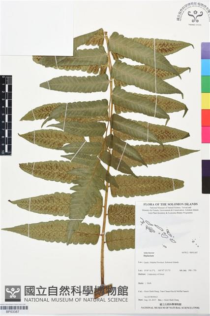 登錄號:BP03387藏品圖，第1張