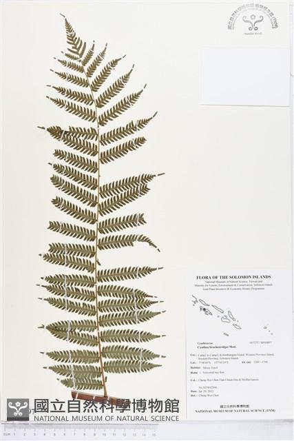 登錄號:BP00897藏品圖，第1張