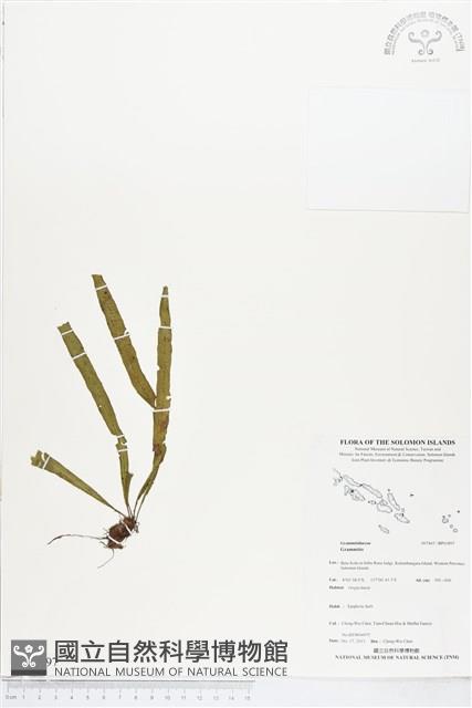 登錄號:BP01897藏品圖，第1張